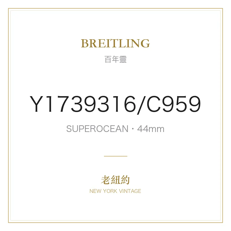 BREITLING Y1739316/C959 SUPEROCEAN