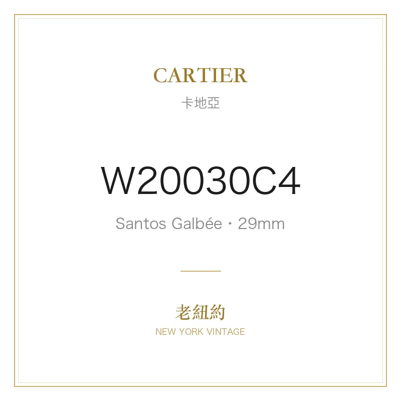 CARTIER W20030C4 Santos Galbée