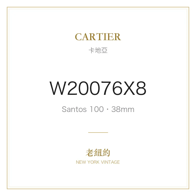 CARTIER W20076X8 Santos 100