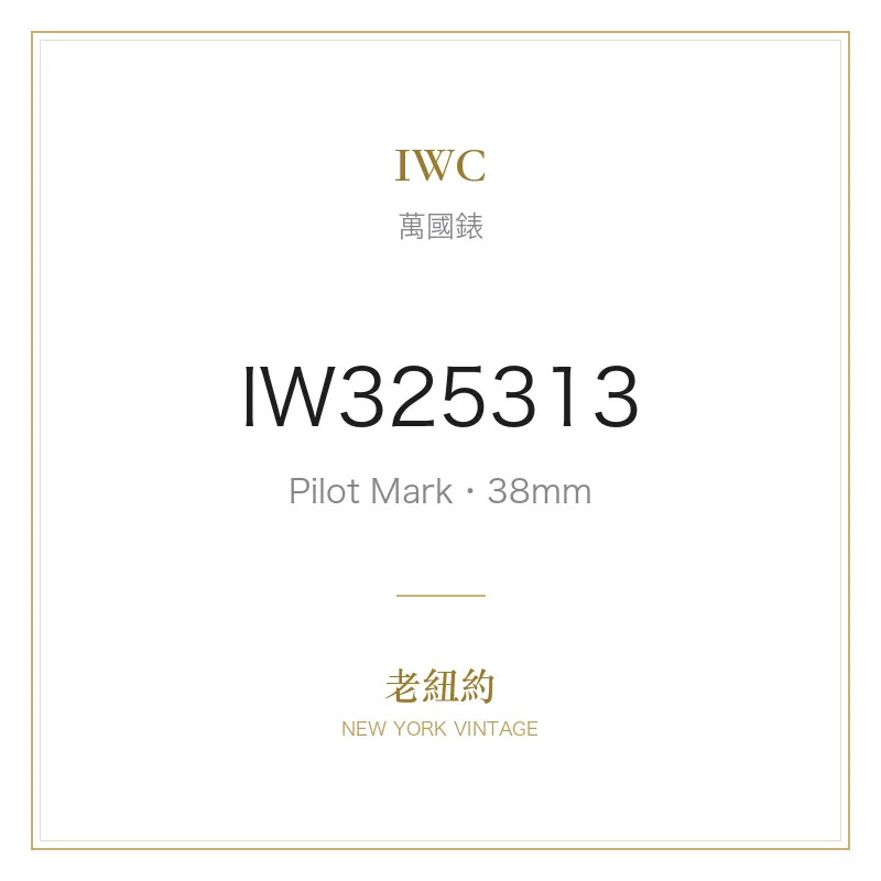 IWC IW325313 Pilot Mark