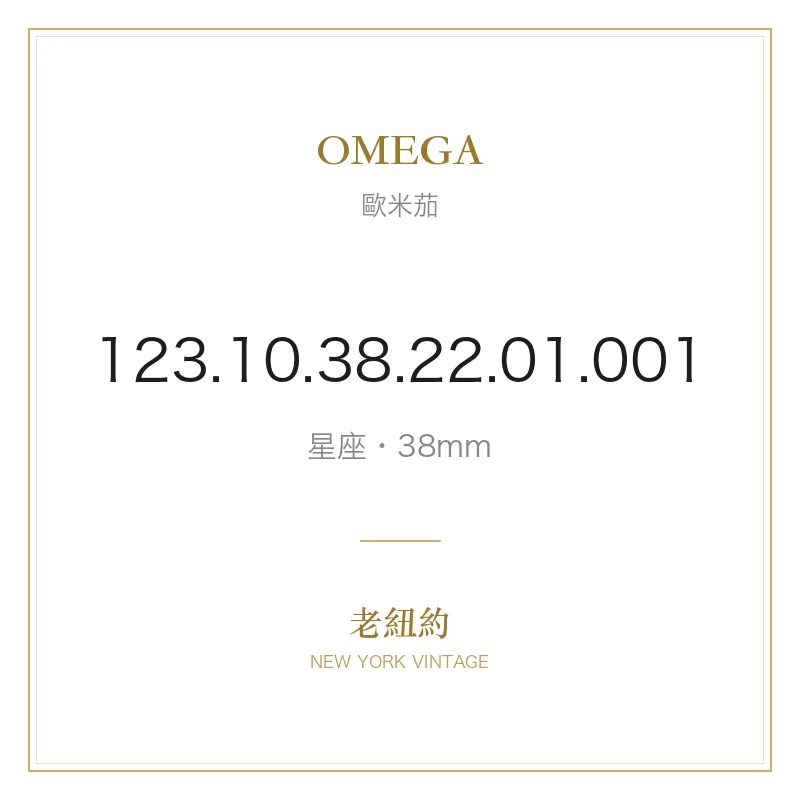 OMEGA 123.10.38.22.01.001 星座