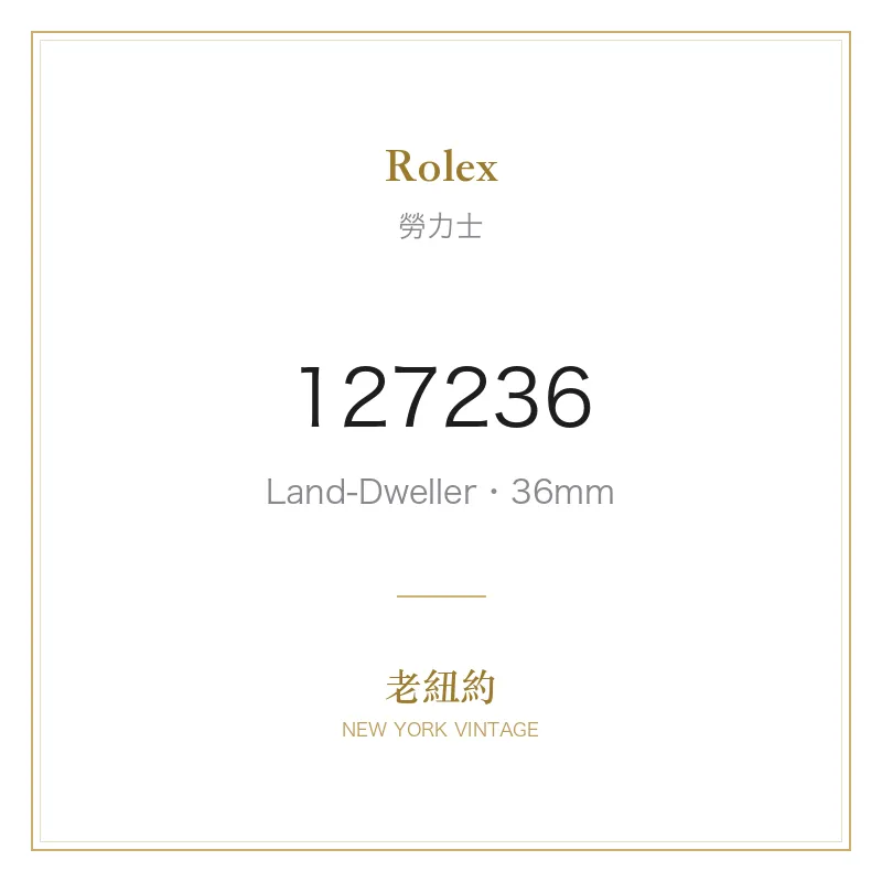 Rolex 127236 Land-Dweller