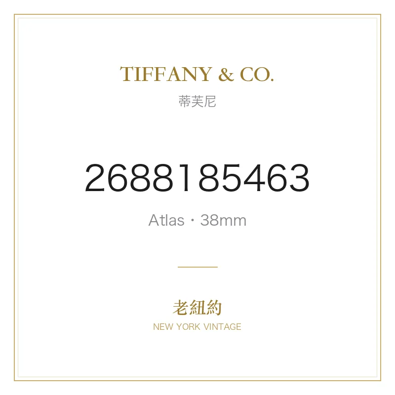 TIFFANY & CO. Atlas 38mm Automatic Atlas