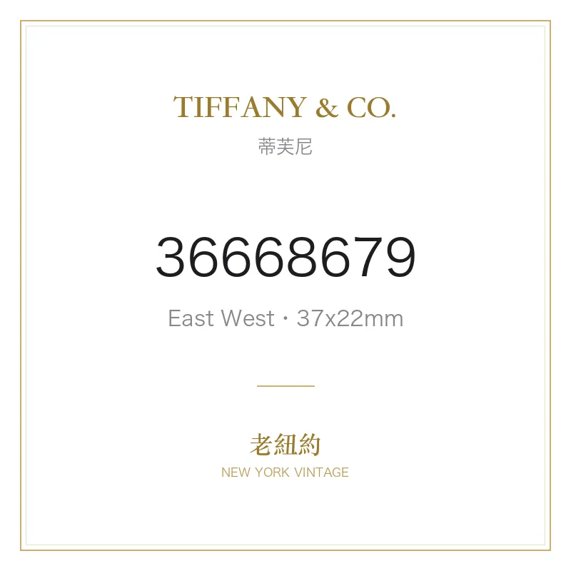 TIFFANY & CO. East West Mini 2-Hand 37x22mm East West