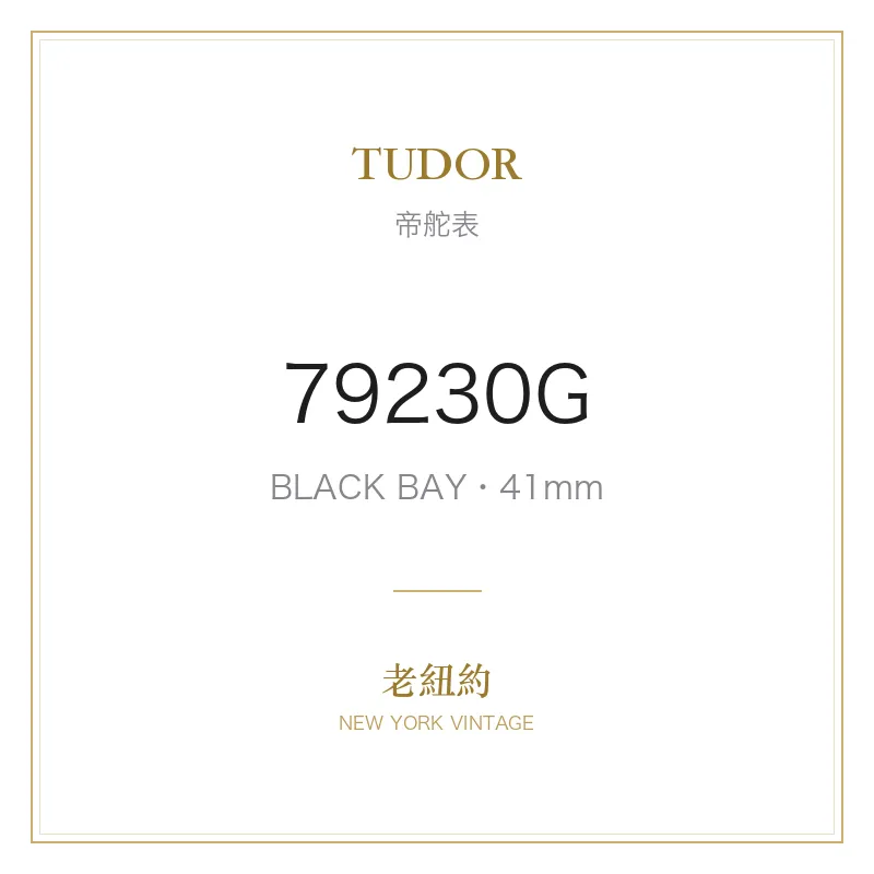 TUDOR 79230G BLACK BAY