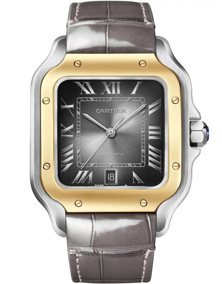 CARTIER W2SA0030 SANTOS DE CARITER