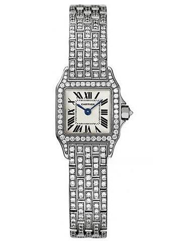 CARTIER WF9005YA SANTOS DE CARITER