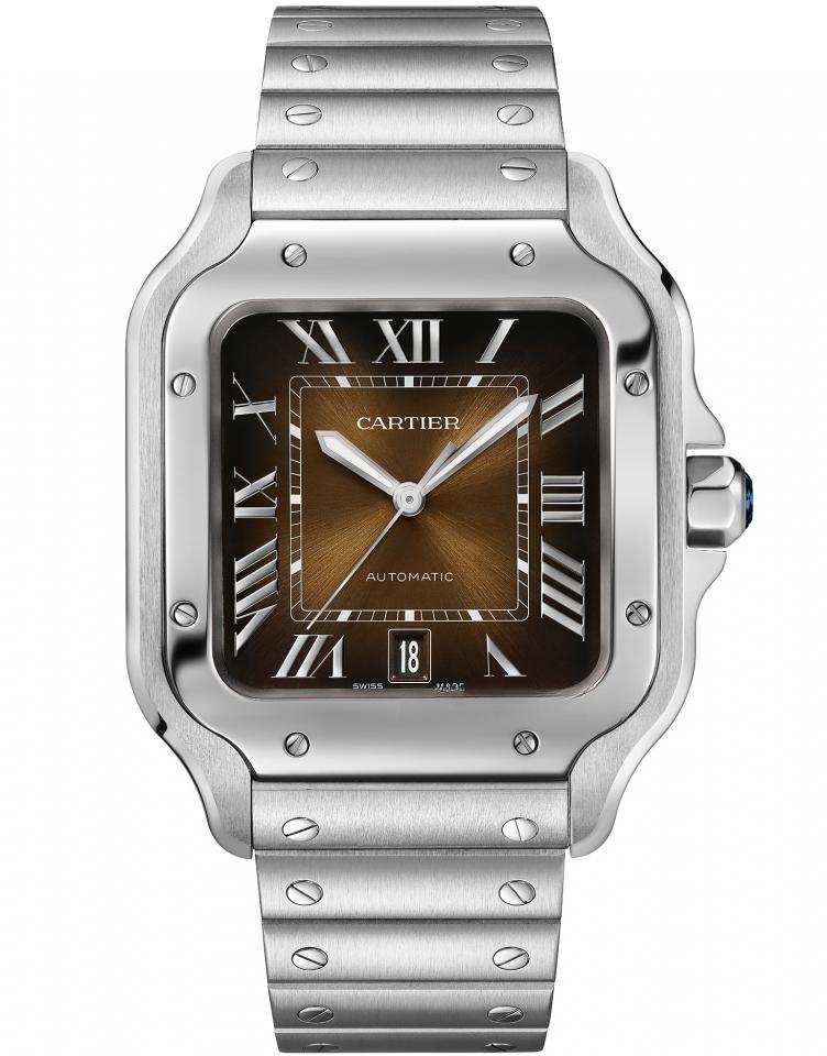 CARTIER WSSA0064 SANTOS DE CARITER