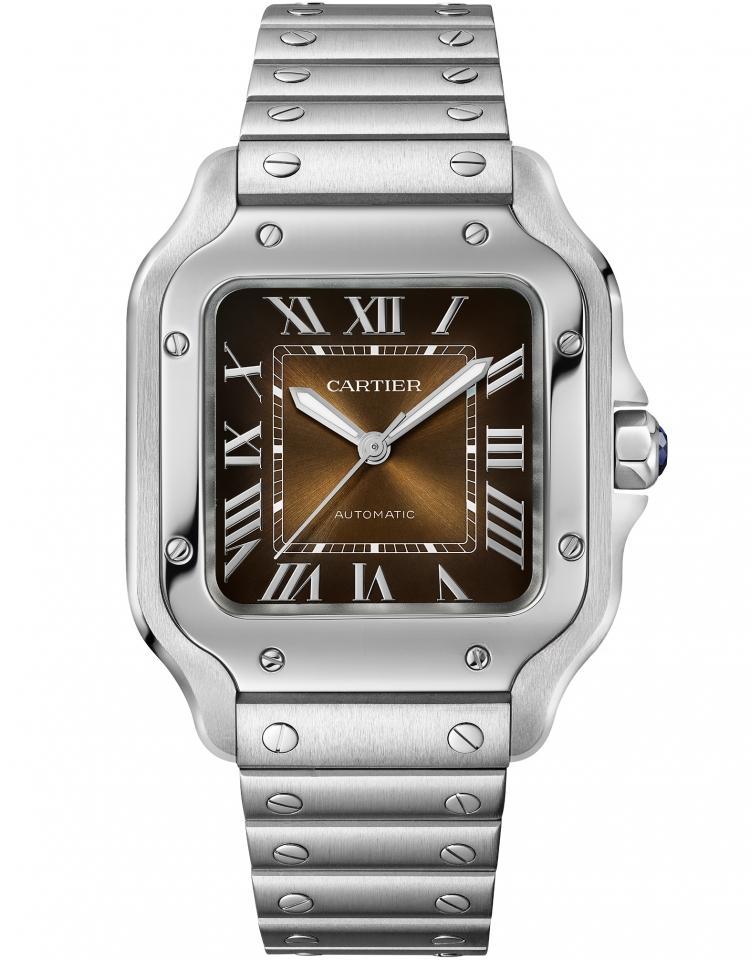 CARTIER WSSA0065 SANTOS DE CARITER