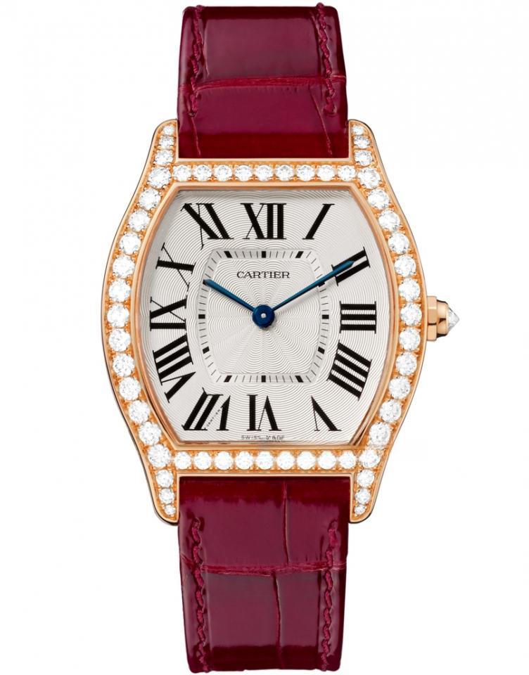 CARTIER WA501008 TORTUE