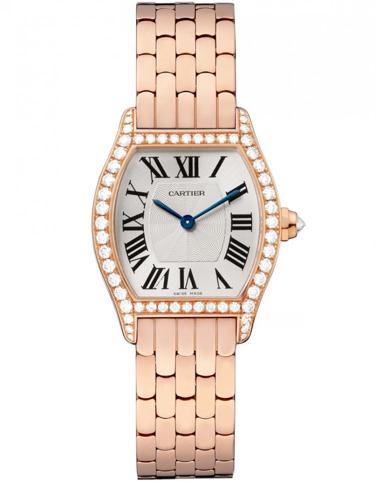 CARTIER WA501010 TORTUE