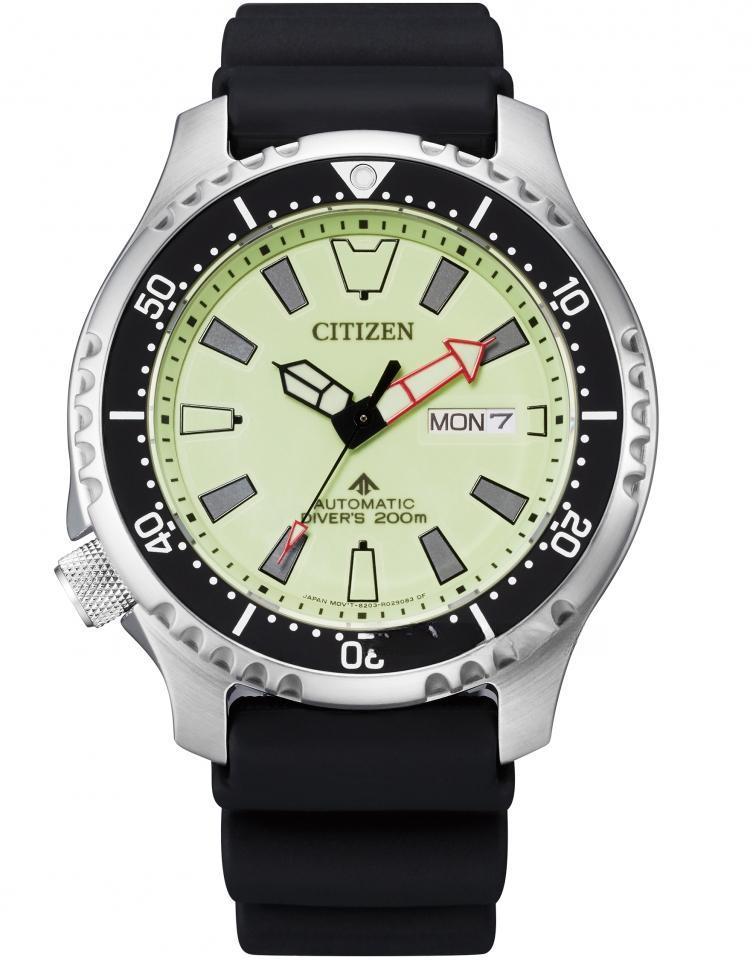 CITIZEN NY0118-11A PROMASTER