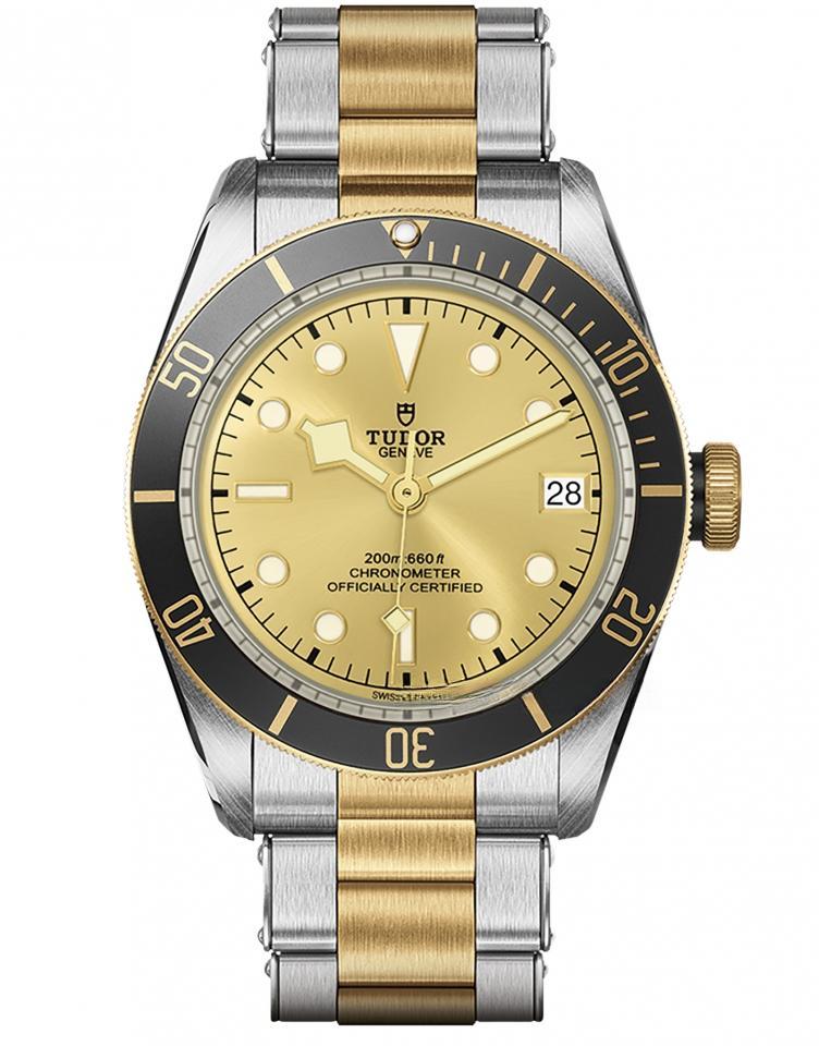 TUDOR M79733N-0004 BLACK BAY