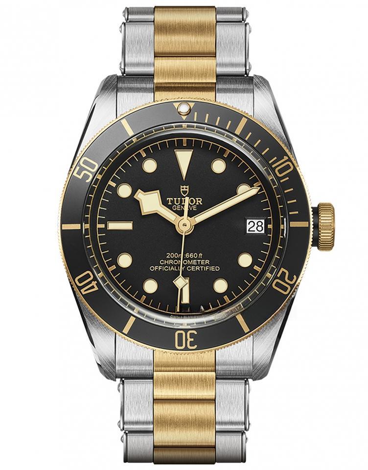 TUDOR M79733N-0005 BLACK BAY